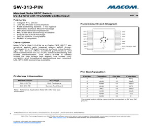 SW-313-TB.pdf