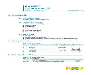 BAP64Q.pdf