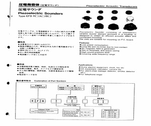 EFB-RC24C41.pdf