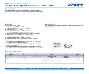 SMP253MA4100MTR24.pdf