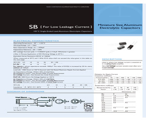 SB100M6R80A2FL1012.pdf