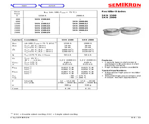 SKN2000/06.pdf