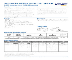 03028BR101CKUL.pdf