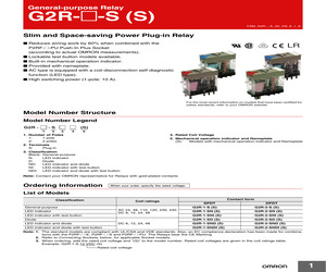 G2R-1-S-AC100/(110).pdf