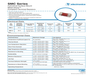 SMC11001300FLF13.pdf