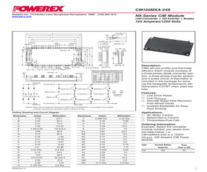 CM100MXA-24S.pdf