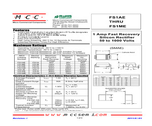 FS1JE-TP.pdf