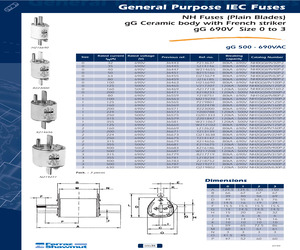 NH0GG50V125P-2.pdf