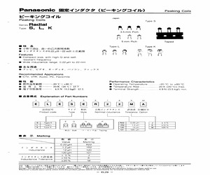 ELESQ100KA.pdf