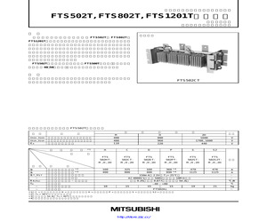 FTS502CT.pdf