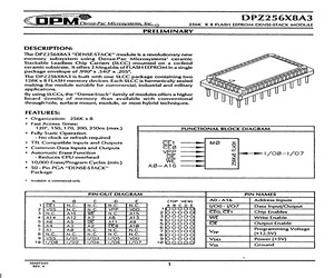 DPZ256X8A3-17M.pdf