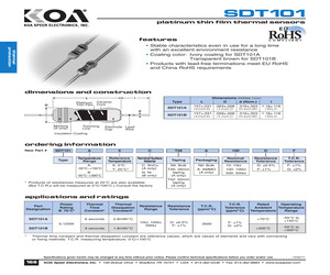 SDT101BXC100DG.pdf