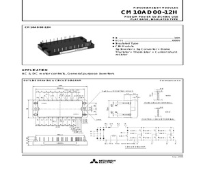 CM10AD00-12H.pdf