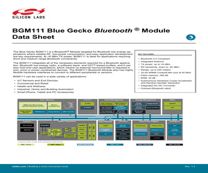 BGM111A256V21R.pdf