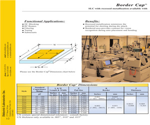 D20BG160G1BA.pdf