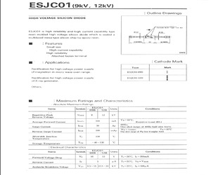 ESJC01-12B.pdf