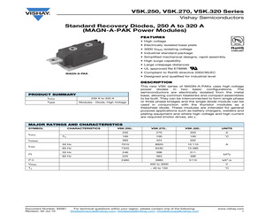VSKJ320-20.pdf