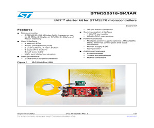STM320518-SK/IAR.pdf
