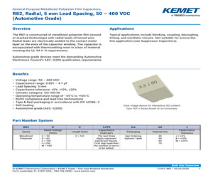 82DC3100AA50K.pdf