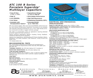 100B101GP1000XT.pdf