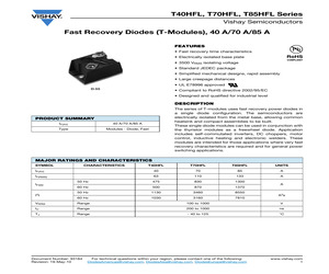 T40HFL100S05.pdf