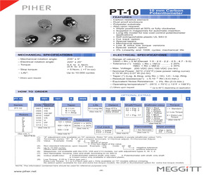 PT10LV10101A2020.pdf