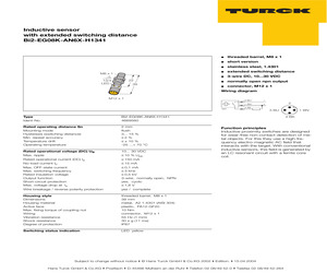 BI2-EG08K-AN6X-H1341.pdf