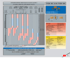 TCN62N1000PF20%63V.pdf