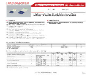 S11141.pdf