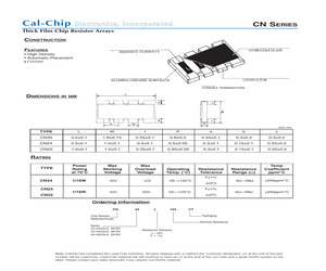 CN22J111CT-LF.pdf
