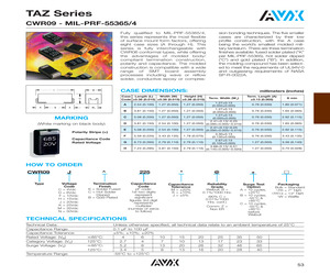 CWR09CB107MCB.pdf