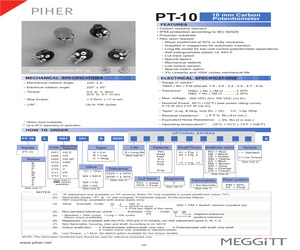 PT10LV10101A2020.pdf