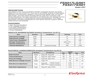 FSX017LG/001.pdf