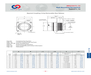 M83723/71A10054.pdf