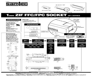 ZF1-20-02-T-WT-TR.pdf
