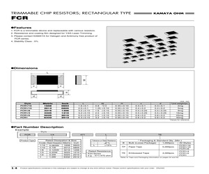 FCR1/10100-TP.pdf