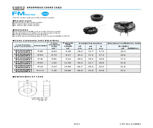 LDFM003152MS-V0E.pdf
