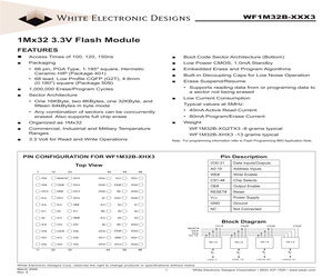 WF1M32B-100HI3.pdf
