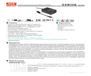 GSM36B07-P1J.pdf