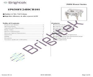 1P03S8Y24I0CB101.pdf