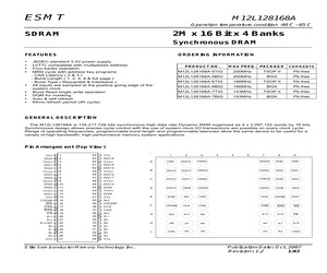 M12L128168A-6BIG.pdf