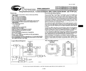 CY7C462A-25LMBR.pdf