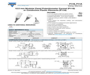 P11S1V0FLSY00105KA.pdf