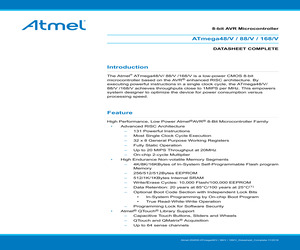 ATMEGA168V-10AUR.pdf