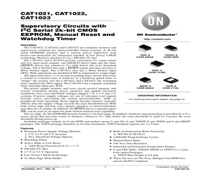 CAT1023ZI-30-GT3.pdf