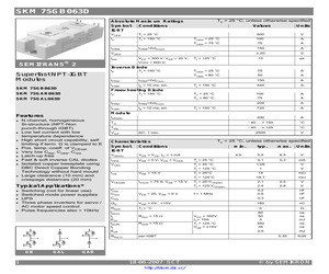 SKM75GAR063D.pdf