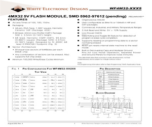 WF4M32-100H2C5A.pdf