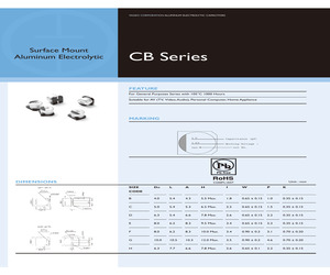 CB025M0010RSB-0405.pdf