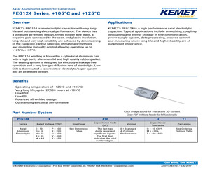 PEG124PF310VQL1.pdf