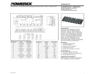 PS22A73.pdf